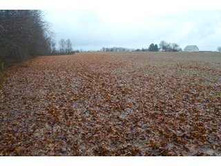 Property photo 20 - FARM AUCTION - 60.5+/- ACRES IN 5 TRACTS IN ALLEN COUNTY, INDIANA